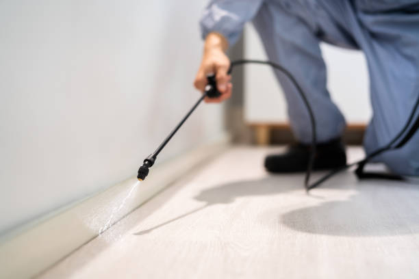Best Pest Control for Restaurants  in Nitro, WV